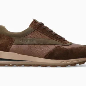 Barth - Chestnut | M8OC
